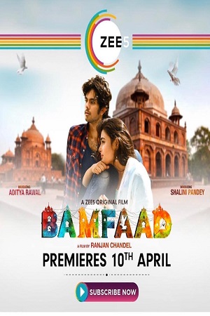 Bamfaad (2020) Hindi Full Movie 480p - 720p - 1080p poster