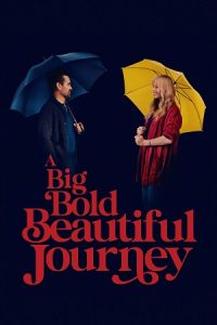 A Big Bold Beautiful Journey (2025) Dual Audio {Hindi-English} Web-DL 480p - 720p - 1080p poster