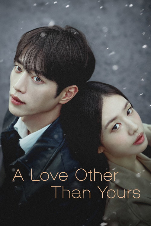 A Love Other Than Yours (Season 1) [S01E09 Added] {Hindi-English-Korean} K-Drama Series 480p 720p & 1080p WEB-DL poster