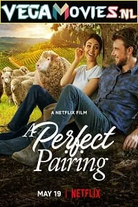 A Perfect Pairing (2022) Dual Audio {Hindi-English} 480p - 720p - 1080p poster