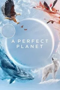 A perfect Planet (Season 1) Dual Audio [Hindi + English] Complete Web Series Esubs 720p poster