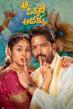 Aa Okkati Adakku (2024) poster