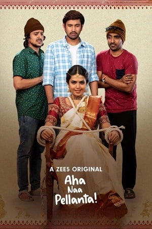 Aha Naa Pellanta (2022) Season 1 Complete Hindi WEB Series 480p - 720p HDRip poster