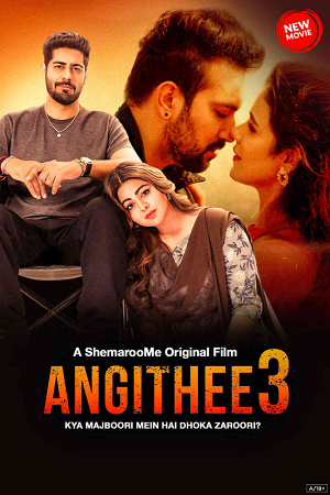 Angithee 3 (2024) poster