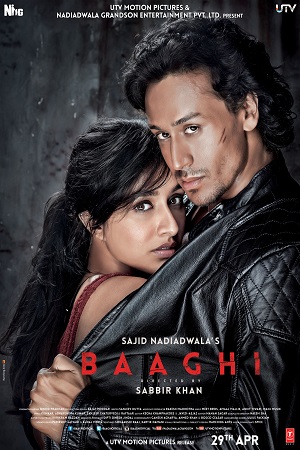 Baaghi (2016) Hindi Full Movie 480p - 720p - 1080p poster