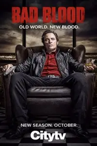 Bad Blood (Season 1 – 2) Dual Audio {Hindi-English} Netflix Complete WEB Series 480p - 720p WEB-DL poster