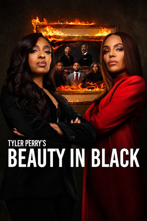 Beauty in Black (Season 1 – 3) Complete Dual Audio {Hindi-English} NetFlix Series 480p, 720p & 1080p WEB-DL poster