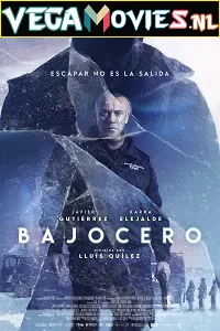 Below Zero (2021) Dual Audio {Hindi Dubbed-Spanish} ESubs 480p - 720p poster