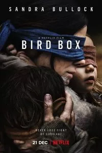 Bird Box (2022) poster