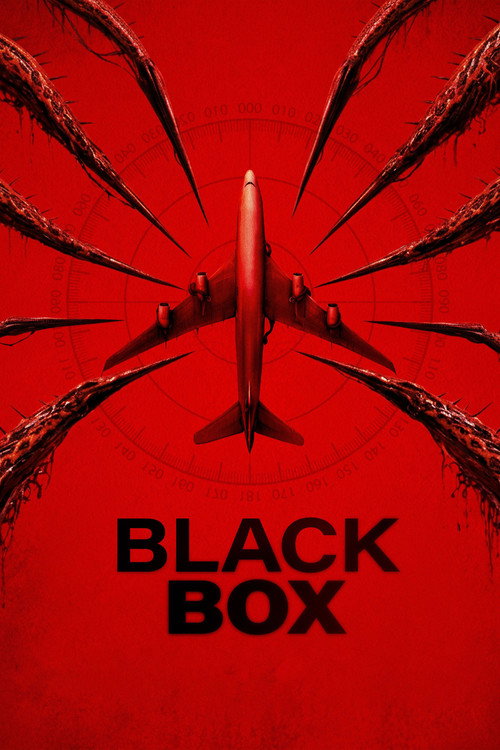 Black Box (2026) poster