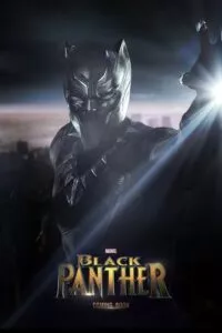 Black Panther (2018) IMAX BluRay Dual Audio {Hindi-English} 480p - 720p - 1080p - 2160p 10bit poster