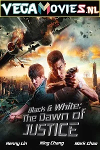 Black & White: The Dawn of Justice (2014) Dual Audio {Hindi-English} 480p - 720p poster