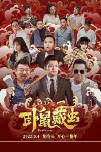 Brothers (2022) WEB-DL Dual Audio {Hindi-Chinese} 480p - 720p - 1080p poster