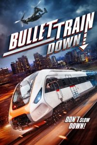 Bullet Train Down (2022) WEB-DL Dual Audio {Hindi-English} 480p - 720p - 1080p poster