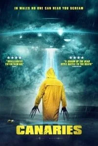 Canaries (2017) Dual Audio {Hindi-English} 480p - 720p poster