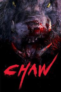 Chawz (2009) Uncut-BluRay Dual Audio {Hindi-Korean} 480p - 720p - 1080p poster