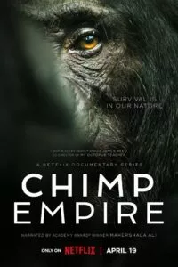 Chimp Empire (2023) poster