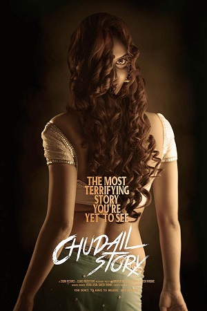 Chudail Story (2016) Hindi Full Movie 480p - 720p - 1080p poster