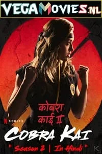 Cobra Kai – Netflix Original (2019) Season 2 Dual Audio {Hindi-English} 480p - 720p WEB-DL poster