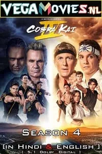 Cobra Kai – Netflix Original (2021) poster