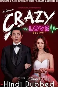 Crazy Love (2022) Season 1 Dual Audio {Hindi-Korean} 480p - 720p WEB-DL poster