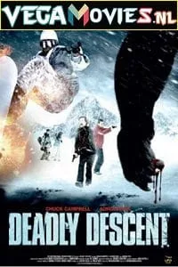 Deadly Descent (2013) Dual Audio {Hindi-English} 480p - 720p poster
