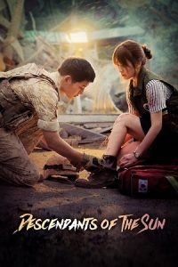 Descendants Of The Sun (Season 1) Dual Audio {Hindi-Korean} ZEE5 WEB-DL Series 720p - 1080p poster