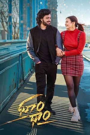 Dhoom Dhaam (2024) ORG. 2.0 [Hindi + Telugu] WEB-DL 480p - 720p - 1080p poster