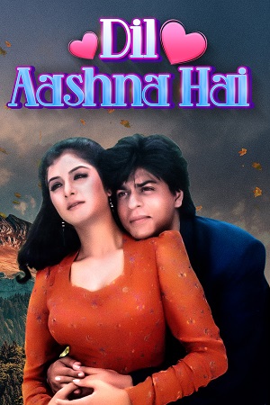 Dil Aashna Hai (1992) HDRip Hindi Full Movie 480p - 720p - 1080p poster
