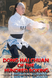Dong Hai Chuan of the Hundred Boxing (2018) WEB-DL Dual Audio {Hindi-Chinese} 480p - 720p - 1080p poster