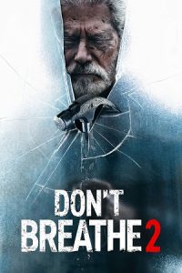Don’t Breathe 2 (2021) Blu-Ray Dual Audio {Hindi-English} 480p - 720p - 1080p poster