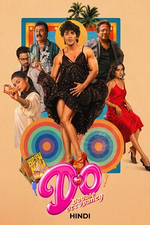 Double Occupancy (2026) poster