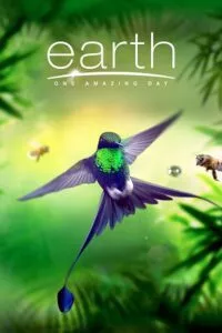 Earth: One Amazing Day (2017) Dual Audio {Hindi-English} 480p - 720p - 1080p poster