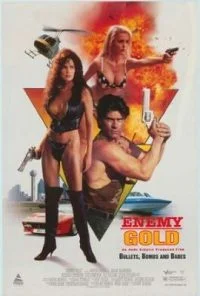 [18+] Enemy Gold (1993) poster