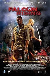 Falcon Rising (2014) Dual Audio Hindi 480p - - 720p poster