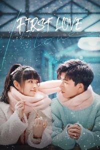 First Love (Season 1) Hindi ORG Dubbed C-Drama Series 480p 720p & 1080p WEB-DL poster