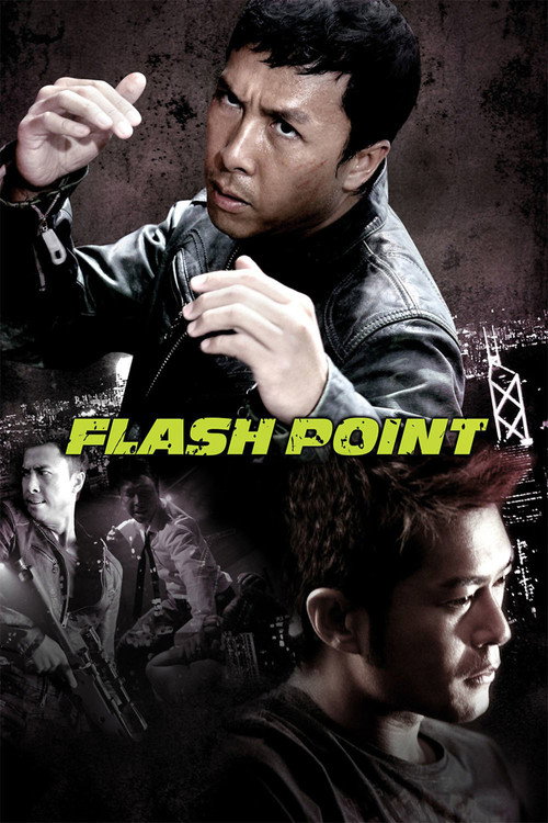 Flash Point (2007) Blu-Ray Dual Audio {Hindi-English} 480p - 720p - 1080p poster