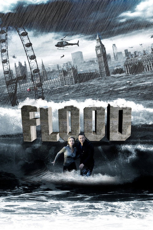 Flood (2007) poster