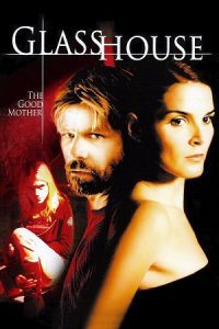 Glass House The Good Mother (2006) Dual Audio {Hindi-English} BluRay 480p - 720p poster
