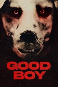 Good Boy (2022) poster