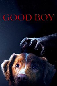 Good Boy (2025) poster
