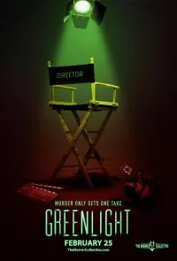Greenlight (2019) Dual Audio {Hindi-English} 480p - 720p poster