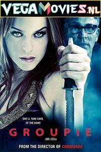 [18+] Groupie (2010) Dual Audio {Hindi-English} 480p - 720p poster
