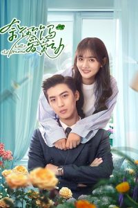 Hello Old Friend (Season 1) Hindi ORG Dubbed C-Drama Series 480p 720p & 1080p WEB-DL poster