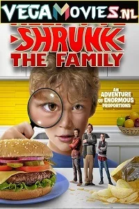 Help, Ive Shrunk the Family (2016) Dual Audio {Hindi-English} 480p - 720p poster