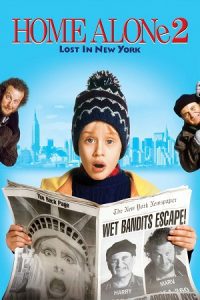 Home Alone 2 (1992) Dual Audio {Hindi-English} BluRay 480p - 720p - 1080p poster