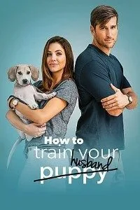How to Train Your Husband (2018) poster