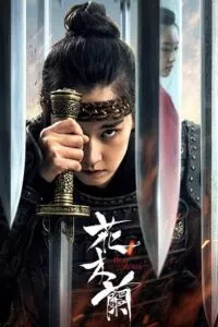 Hua Mulan (2020) WEB-DL Dual Audio {Hindi-Chinese} 480p - 720p - 1080p poster