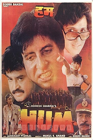 Hum (1991) Hindi Full Movie WEB-DL 480p - 720p - 1080p poster