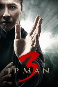 Ip Man 3 (2015) Dual Audio [Hindi + Chinese] WeB-DL 480p - 720p - 1080p poster